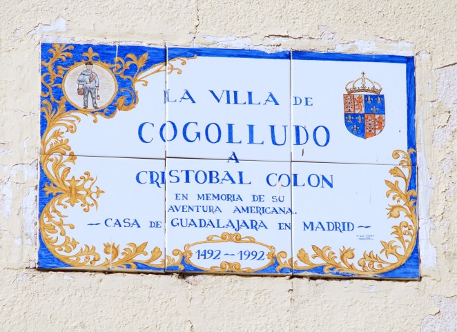 Palacio Cogolludo2009